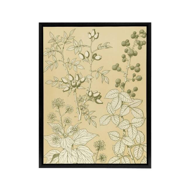 "Artery8 Wild Rose Ivy Blackberry Botanical Jones Framed Canvas Wall Art in Beige - Size: W12"" x H16""" - image 1