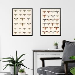 Artery8 Wall Art Print Vintage Bug Insects Butterflies Moths Set Of 2 s Bathroom Bedroom Aesthetic Retro Historical A4 - thumbnail 6