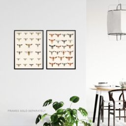 Artery8 Wall Art Print Vintage Bug Insects Butterflies Moths Set Of 2 s Bathroom Bedroom Aesthetic Retro Historical A4 - thumbnail 3