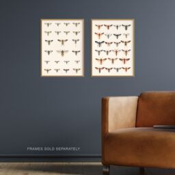 Artery8 Wall Art Print Vintage Bug Insects Butterflies Moths Set Of 2 s Bathroom Bedroom Aesthetic Retro Historical A4 - thumbnail 2