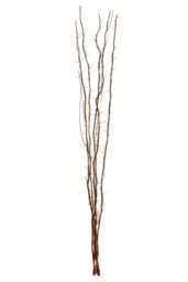 Orsina Ventana Natural 80 Lights Colour Twigs with EU Plug in Brown