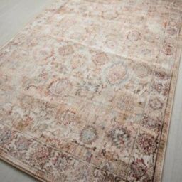 The Rug Shop UK Beige Traditional Easy to clean Machine Made Abstract Abstract Area Rug - Size: 200 cm x 290 cm - thumbnail 2