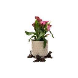 Jardinopia Irish Setter Plant Pot Feet - Set of 3 - L5 x W5.5 x H12.5 cm in Bronze - thumbnail 4