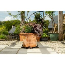 Jardinopia Irish Setter Plant Pot Feet - Set of 3 - L5 x W5.5 x H12.5 cm in Bronze - thumbnail 5