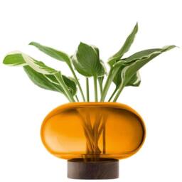 LSA Oblate Glass Vase Lantern 19.5cm with Walnut Base Amber - thumbnail 4