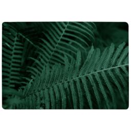 Benjamin Tate Design Plants Background. Biophilia Trend Designer Rug in Natural - Size: Large - thumbnail 1