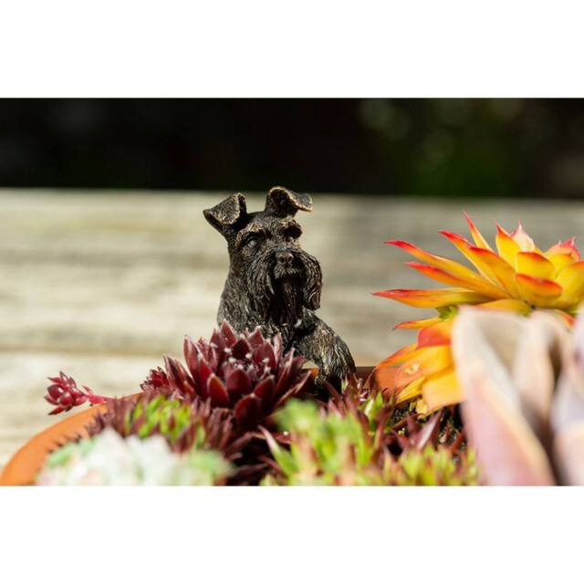 Jardinopia Antique Bronze Coloured Schnauzer Pot Buddy Plant Pot Hanger - image 1