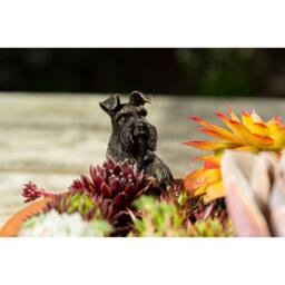 Jardinopia Antique Bronze Coloured Schnauzer Pot Buddy Plant Pot Hanger - thumbnail 1