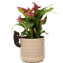 Jardinopia Antique Bronze Coloured Schnauzer Pot Buddy Plant Pot Hanger - thumbnail 4