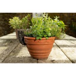 Jardinopia Antique Bronze Coloured Schnauzer Pot Buddy Plant Pot Hanger - thumbnail 2