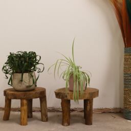 KDMD Higher Teak Pad Display - 27x20cm - (Set of 2) in Brown - Size: 27x20 cm - thumbnail 4