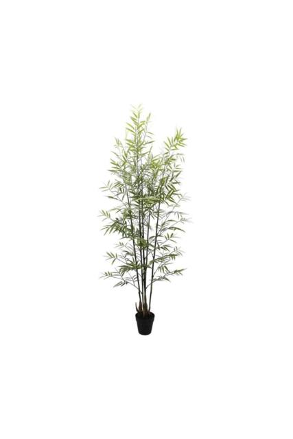 KDMD UV Botanica Bamboo Plant 152cm in Green - image 1