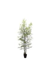 KDMD UV Botanica Bamboo Plant 152cm in Green