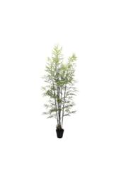 KDMD UV Botanica Bamboo Plant 152cm in Green - thumbnail 2