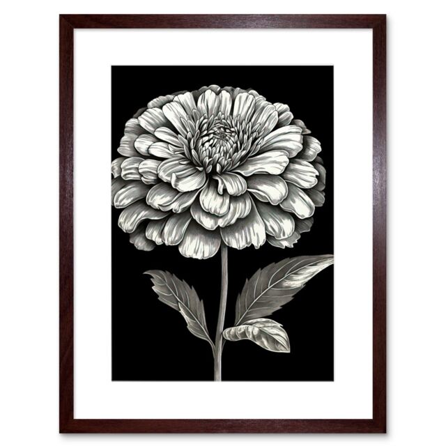 "Artery8 Wall Art Print Zinnia Flower Bloom Black & White Artwork Framed 9X7 Inch in Brown - Size: W7"" x H9""" - image 1