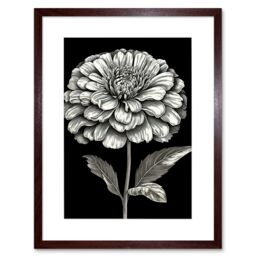 "Artery8 Wall Art Print Zinnia Flower Bloom Black & White Artwork Framed 9X7 Inch in Brown - Size: W7"" x H9""" - thumbnail 1