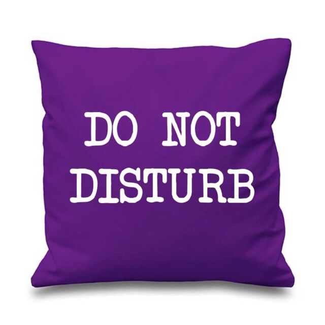 "60 SECOND MAKEOVER Purple Cushion Cover Do Not Disturb 16"" x 16"" Mum Friend Gift Decorative Cushion Home Mothers Day - Size: 40 cm x 40 cm"