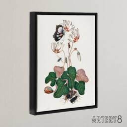 "Artery8 Cyclamen Butterfly Beetles & Shell Bolton Black Framed Canvas Art in White - Size: W12"" x H16""" - thumbnail 2