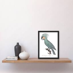 Artery8 The Palm Cockatoo Parrot Francois Levaillant Framed Wall Art Print in White - Size: A4 - thumbnail 4