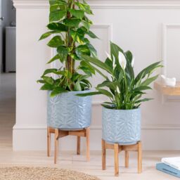 Ivyline Aspen Flower Dusty Blue Planter H34cm D22cm - Ceramic - On trend design