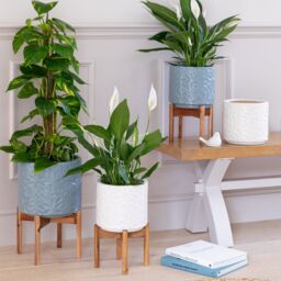 Ivyline Aspen Flower Dusty Blue Planter H34cm D22cm - Ceramic - On trend design - thumbnail 4