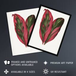 "Artery8 AF Lydon B Fawcett Pink Dracaena Terminalis Leaf Wall Art Print in White - Size: W12"" x H16""" - thumbnail 2