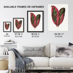 "Artery8 AF Lydon B Fawcett Pink Dracaena Terminalis Leaf Wall Art Print in White - Size: W12"" x H16""" - thumbnail 3
