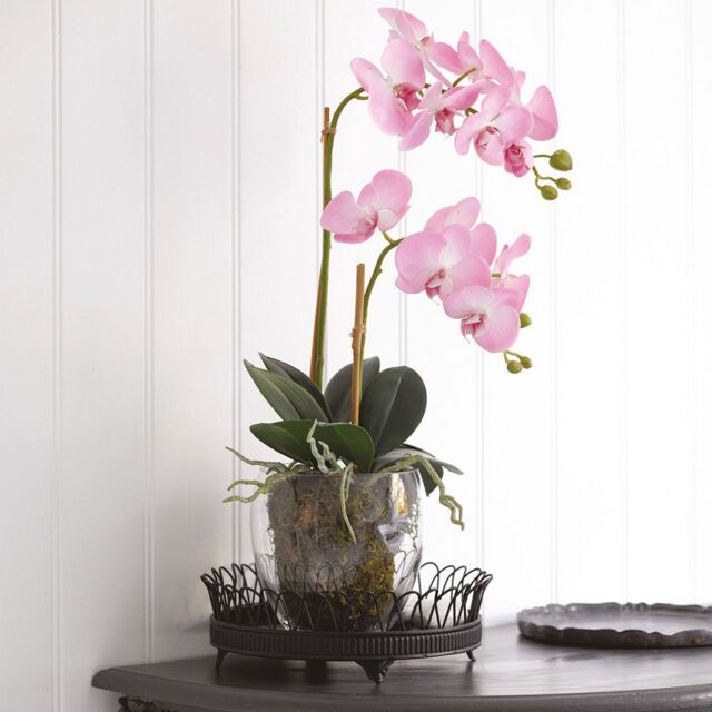 Bloom Artificial Pink Double Phalaenopsis Plant in Vase - Faux Fake Orchid Houseplant Floral Home Decoration - H60cm x W30cm