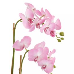 Bloom Artificial Pink Double Phalaenopsis Plant in Vase - Faux Fake Orchid Houseplant Floral Home Decoration - H60cm x W30cm - thumbnail 2