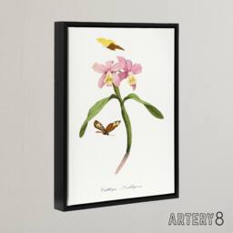 "Artery8 Paul Gervais Cattleya Orchids & Butterflies Framed Canvas Art Print in White - Size: W12"" x H16""" - thumbnail 2