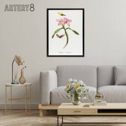 "Artery8 Paul Gervais Cattleya Orchids & Butterflies Framed Canvas Art Print in White - Size: W12"" x H16""" - thumbnail 3
