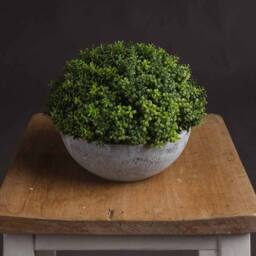 Lemon Pavilion Furniture and Decor Small Shrubby Globe Pot Artificial Plant - L15 x W15 x H15 cm - Green - thumbnail 1