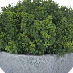 Lemon Pavilion Furniture and Decor Small Shrubby Globe Pot Artificial Plant - L15 x W15 x H15 cm - Green - thumbnail 5