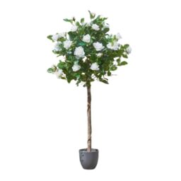 Marco Paul 120cm Artificial Rose Plant - White in Green - thumbnail 3