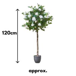 Marco Paul 120cm Artificial Rose Plant - White in Green - thumbnail 2