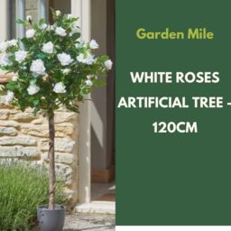 Marco Paul 120cm Artificial Rose Plant - White in Green - thumbnail 4