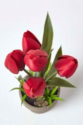 Homescapes Artificial Tulips in Grey Decorative Stone Pot, 27 cm in Red - thumbnail 2