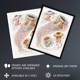 "Artery8 Lion's Mane Jellyfish Haeckel Botanical Wall Art Print Poster in White - Size: W18"" x H24""" - thumbnail 2