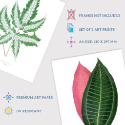 Artery8 Wall Art Print Pack of 3 A4 Fern Frond & Red Green Plant Leaves Botany Book Vintage Detailed Botanical Aesthetic Living Room s Set - thumbnail 4