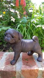 Inspirational Gifting Pug Dog Sculpture Garden Ornament in Bronze - thumbnail 3
