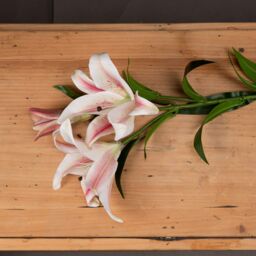 Love Lace Stargazer Lily Artificial Flower in White - thumbnail 2