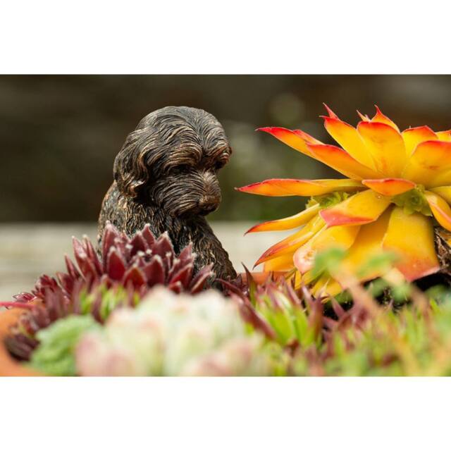Jardinopia Antique Bronze Coloured Cockapoo Pot Buddy Plant Pot Hanger - image 1