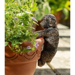 Jardinopia Antique Bronze Coloured Cockapoo Pot Buddy Plant Pot Hanger - thumbnail 4