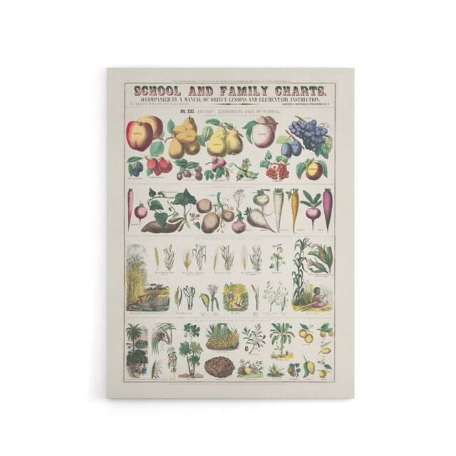 "Artery8 School & family chart No XXI Calkins Canvas Wall Art Print in White - Size: W18"" x H24""" - image 1