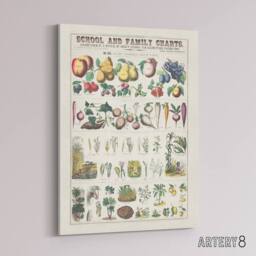"Artery8 School & family chart No XXI Calkins Canvas Wall Art Print in White - Size: W18"" x H24""" - thumbnail 2