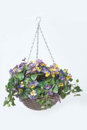 Homescapes Purple & Yellow Pansy Hanging Basket, 60 cm