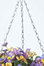 Homescapes Purple & Yellow Pansy Hanging Basket, 60 cm - thumbnail 5