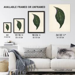 "Artery8 Vintage Botanical Nerve Plant Leaf Fawcett Wall Art Poster Print in Beige - Size: W12"" x H16""" - thumbnail 3