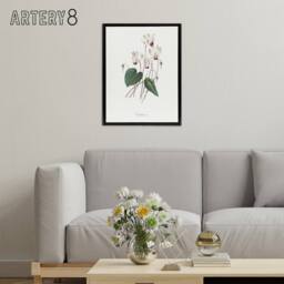 "Artery8 Cyclamen Floral Illustration Redoute Black Framed Canvas Wall Art in White - Size: W24"" x H32""" - thumbnail 3