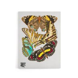 "Artery8 Papillons Butterflies Vintage Canvas Wall Art Print Eugene Seguy - Size: W24"" x H32""" - thumbnail 1